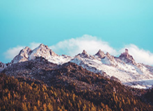 开云体育下载APP-为劫走孤寡老人六千元积蓄，她诱其上山用镰刀砍杀